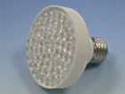 SHOWER HEAD BULB