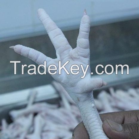 Chicken Feet and Paws From Brazil SIF Plant