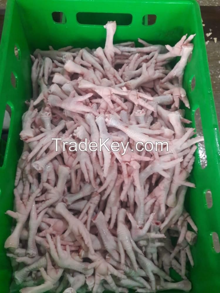 Chicken Feet and Paws From Brazil SIF Plant