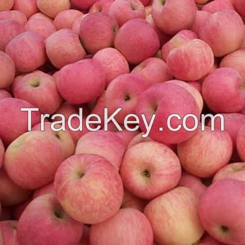 Fresh Royal Gala, Fuji, Golden Delicious, Red Delicious Apples