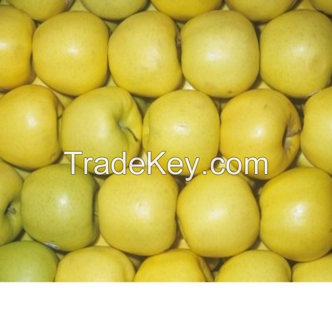 Wholesale Box Style Storage Packaging Fruits Apples Apples in Fruits Fresh Apple Fruit