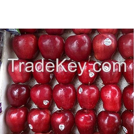 2021 new fresh fruits red Fuji apples