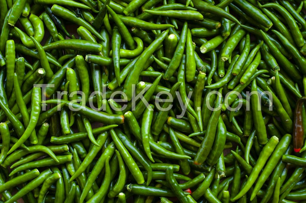 Fresh Green Chilli