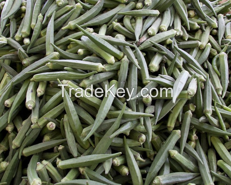 Fresh Okra 