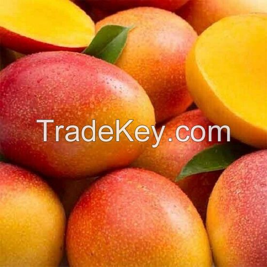 RED/YELLOW FRESH MANGO FOR SALE 