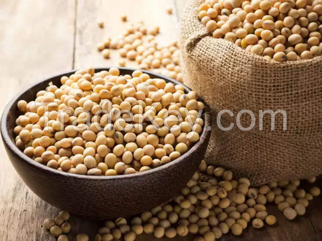 fresh organic soya beans