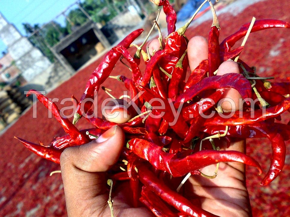 dried red chilli pepper