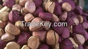 kola nut