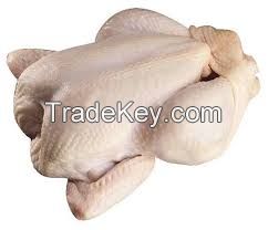 Top Quality Halal Frozen Chicken / Beef/ Goat/ Lamb Meat