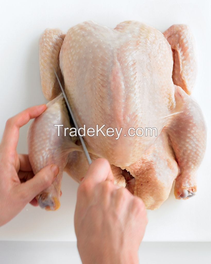 Top Quality Halal Frozen Chicken / Beef/ Goat/ Lamb Meat