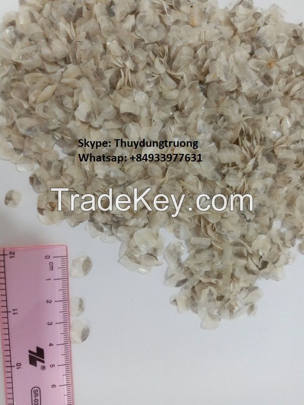 Dried Tilapia Fish Scale