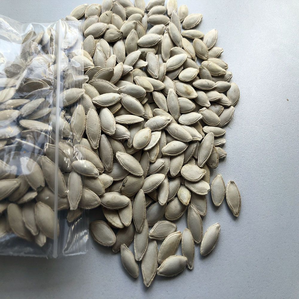 pumkin seed lady nail/pumkin seed fingers mrs for wholesale