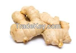 Dried Ginger