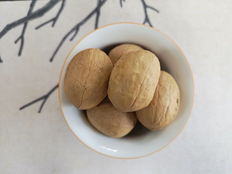 High quality dry in-shell walnut from Chinese origin supplier