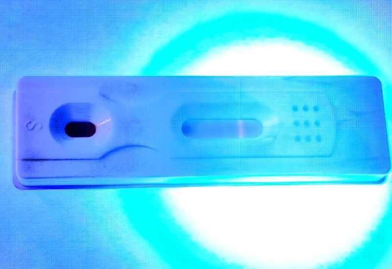 COVID-19 Rapid Test Kit,Quantum Dot-based Fluorescence Immunochromatography Test Kit