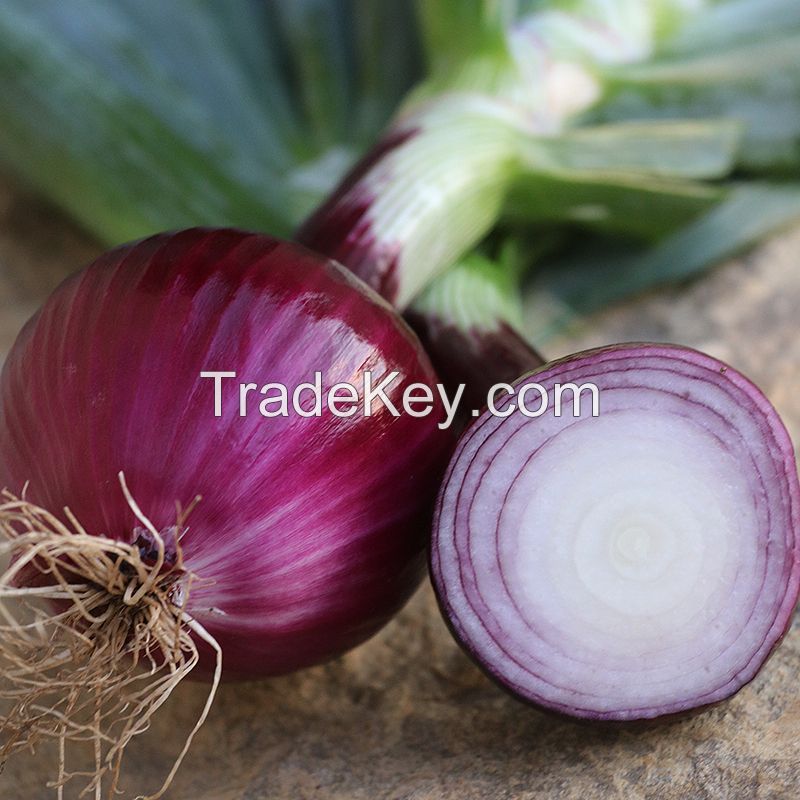 Red Onion