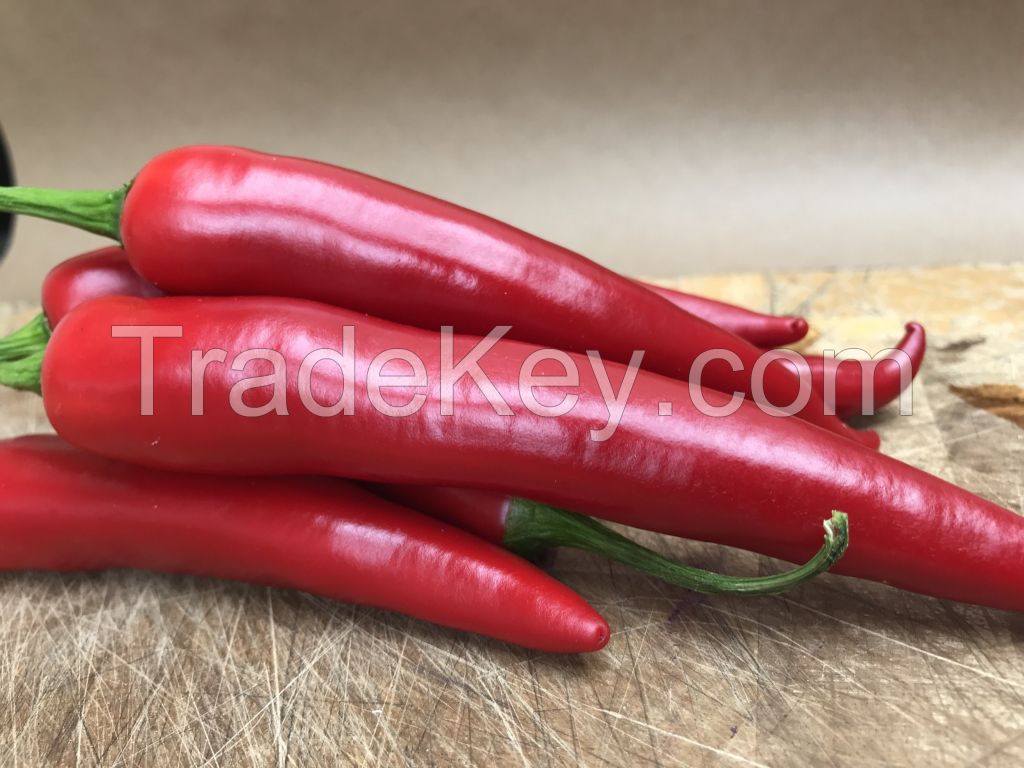 Red Chilli