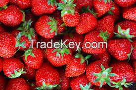 Strawberry Fresh Berries