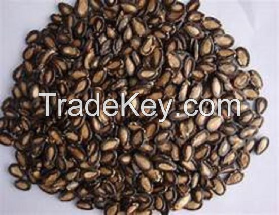 Bulk Melon seed, raw melon seeds/ melon kernel