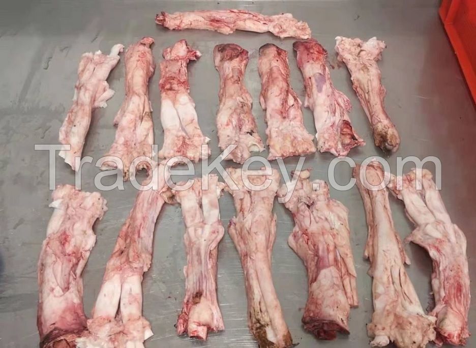 Halal Frozen raw beef Tendons, Pizzle, Tails, Lip/salted omasum
