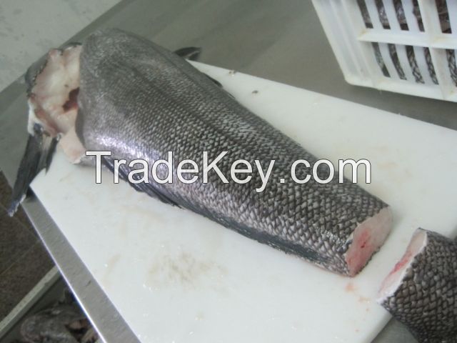 Frozen Sea Bass For Sale 