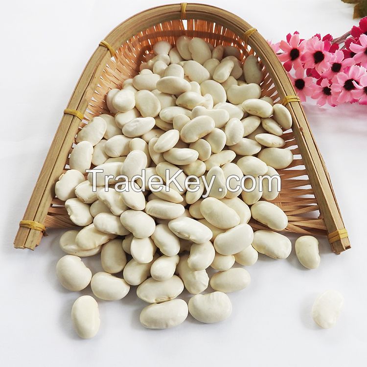 The Newest Crop White Kidney Beans, Buyers of Soya Beans, Different