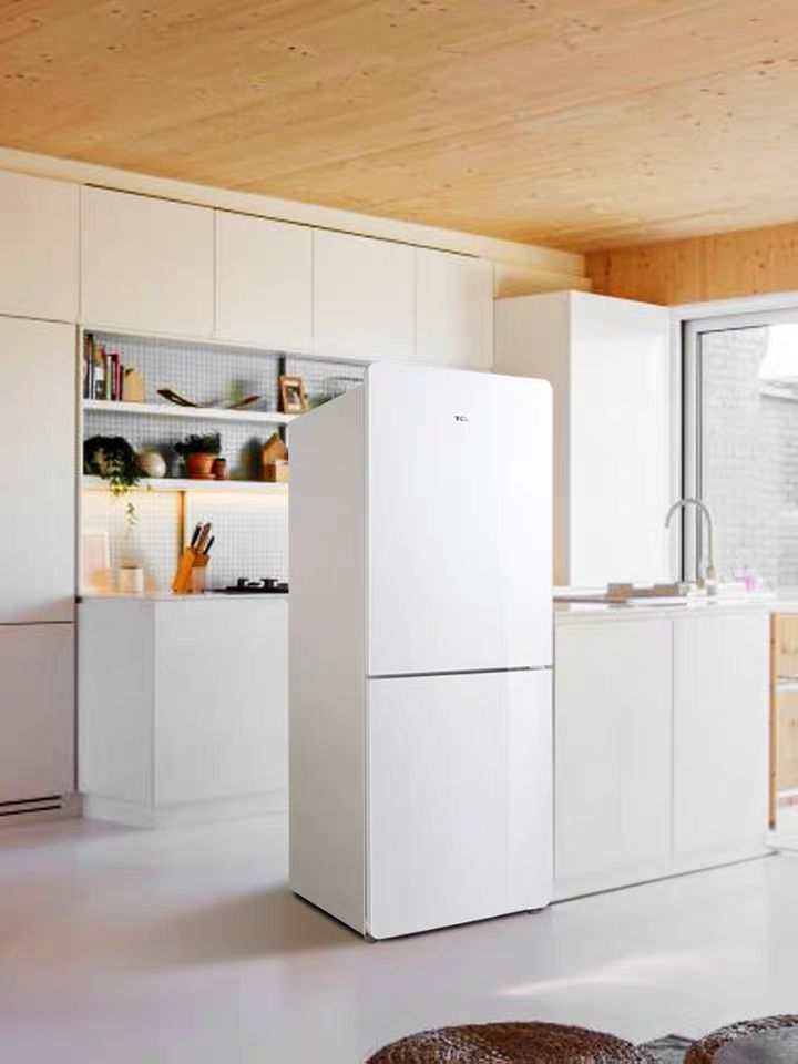 Small two-door household energy-saving refrigerator