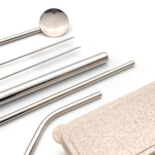 Stainless Steel Straws with Case