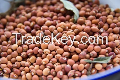 Pigeon Peas / Arhar (Tur) Dal