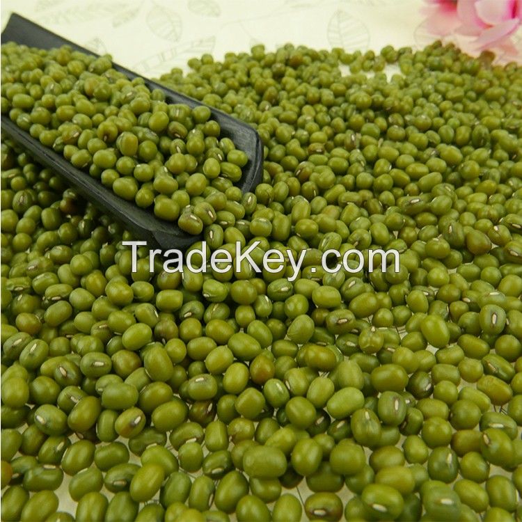 Moong Dal / Mung beans