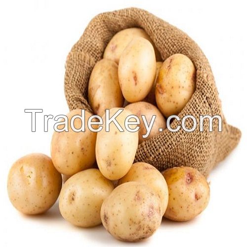 100% export quality fresh potato Atlantic potato