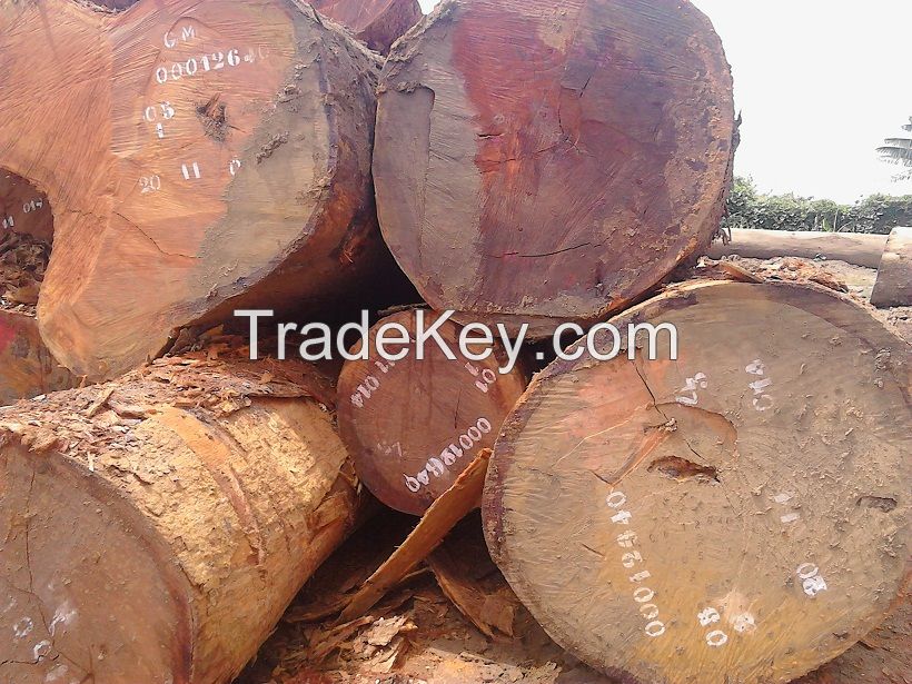 Africa hardwood for sale both in logs and lumbers By uso99marketing,