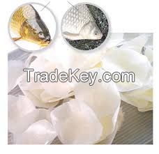 Fish Scales Ms.Selena+84906086094