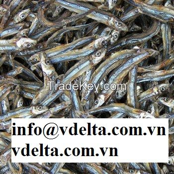 Dried Anchovies/Dried Fish with best quality, best price MS. GINA +84 347 436 085