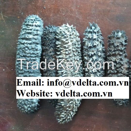 Dried Sea Cucumber (Black Prickly Fish)