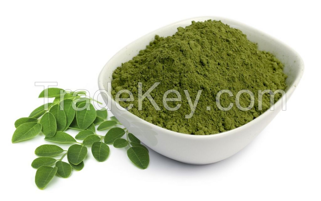 Miracle plant organic moringa oleifera leaf powder for buyers free sample/ MS. Selena +84 906 086 094