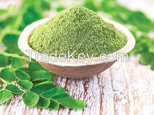 Moringa leaf extract powder 100% high quality organic from Viet Nam best price/ Ms.Serene +84582301365