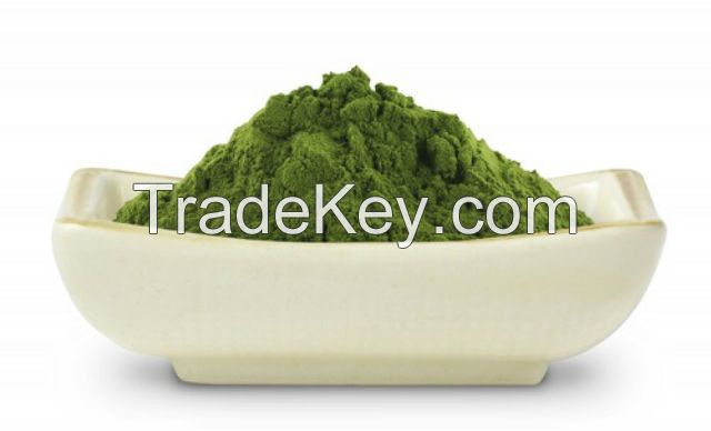 Moringa leaf extract powder 100% high quality organic from Viet Nam best price/ Ms.Serene +84582301365