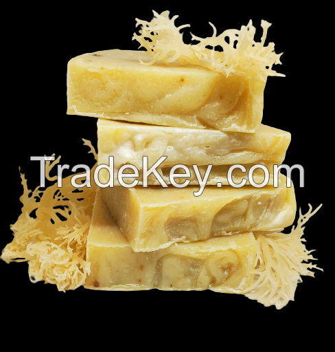 100% Natural Organic Handmade Sea Moss Soap/ Irish Seamoss Soap for Your Skin/ Ms.Luna +84 357 121 200