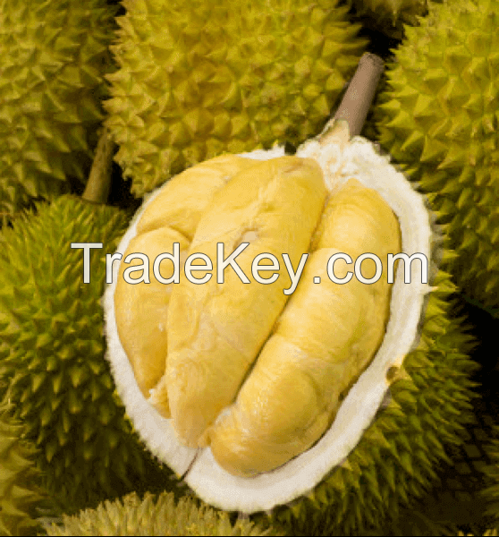 Frozen Durian Fruit Vietnam- Our best products/Tropical fruit WhatsApp +84 347 436 085