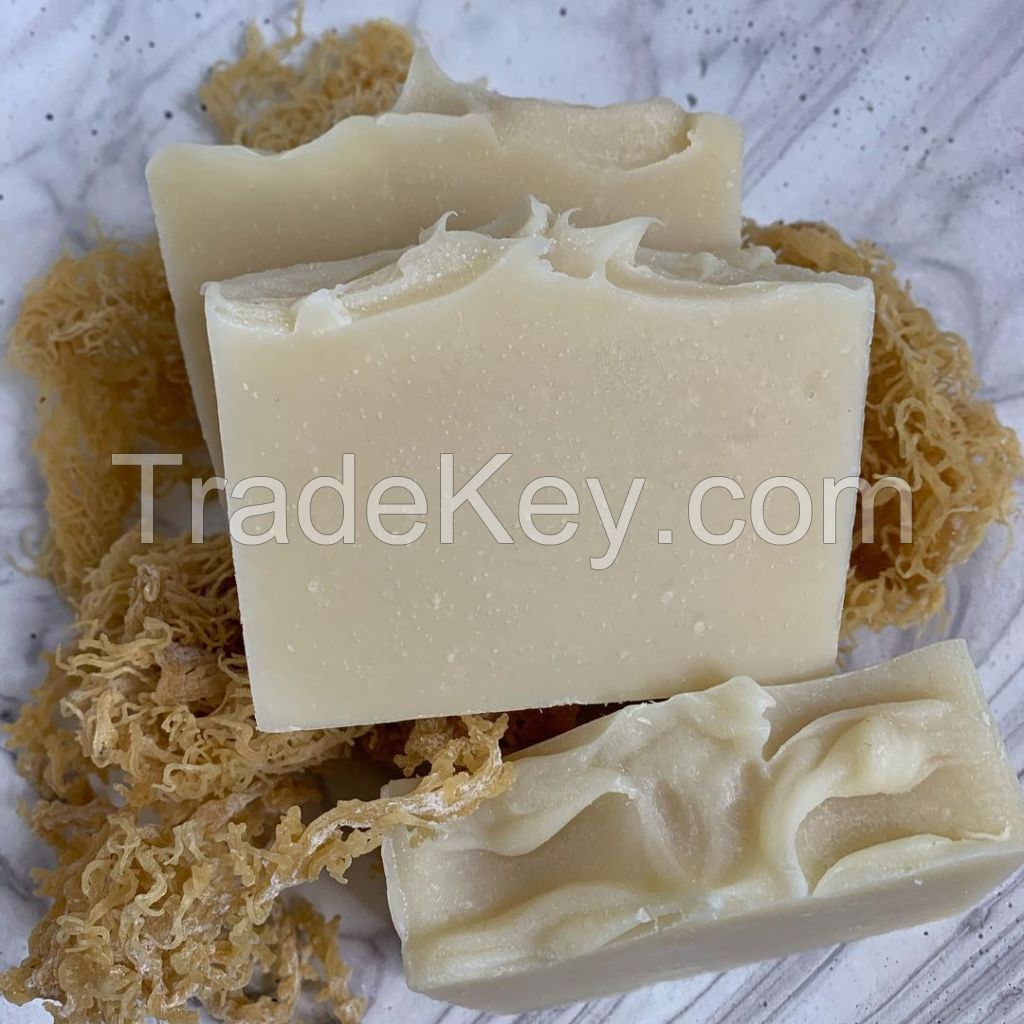 SEA MOSS SOAP/ Irish Moss Soap Handmade Good for Beautiful Body Ms. Stella +84345057499 