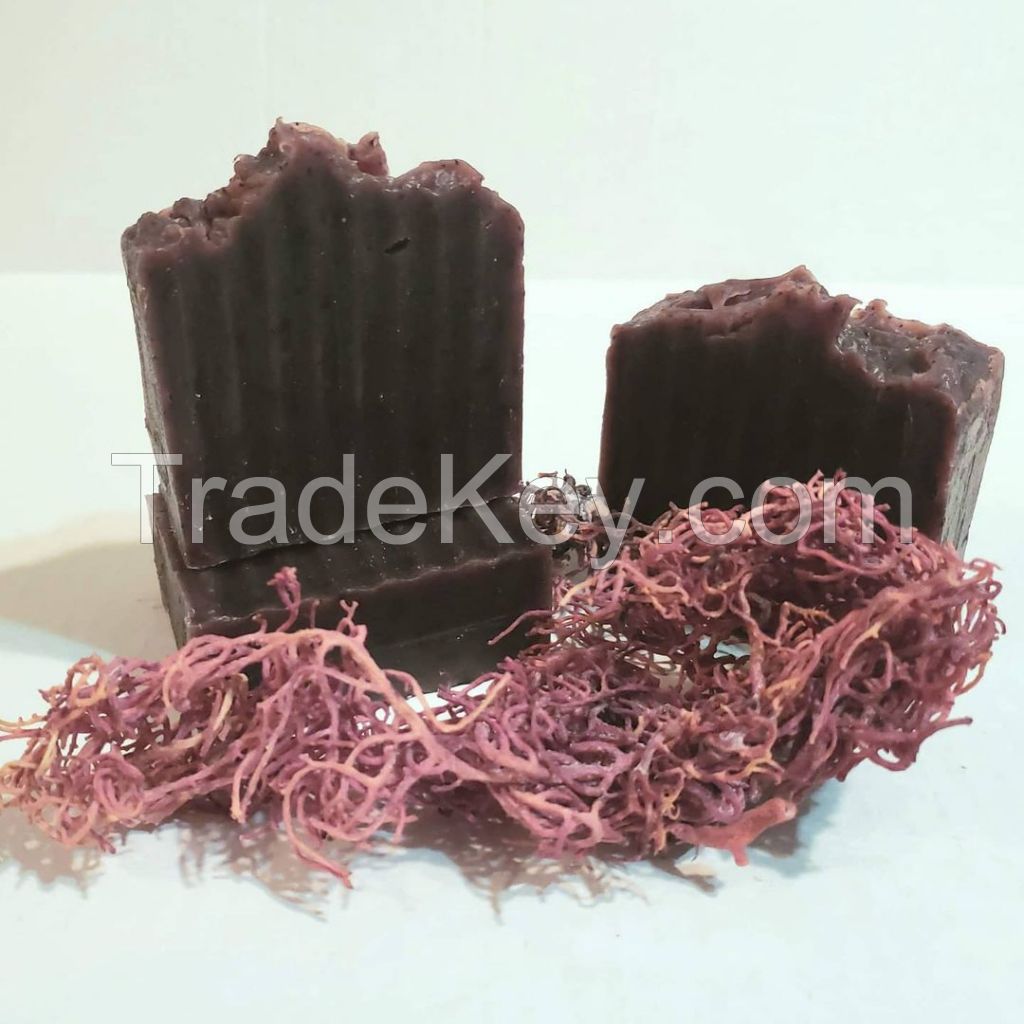 SEA MOSS SOAP/ Irish Moss Soap Handmade Good for Beautiful Body Ms. Stella +84345057499 