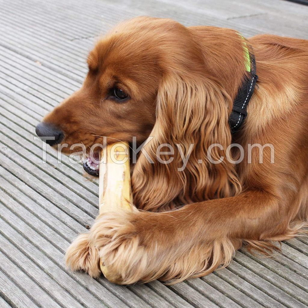 BEST SELLER I COFFEE WOOD DOG CHEW I Best choice for your dogs