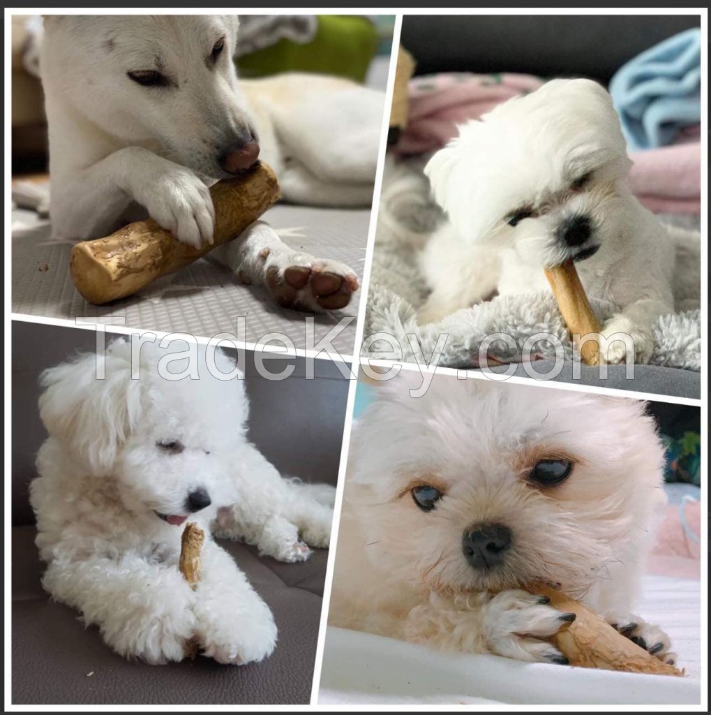 Coffee Wood Dog Chew Stick Toy 100% Natural from Vietnam