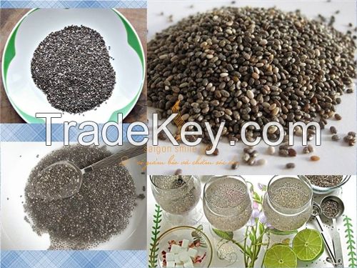 Wholesale Chia Seeds from Vietnam - Ms. Helen +84 348337620