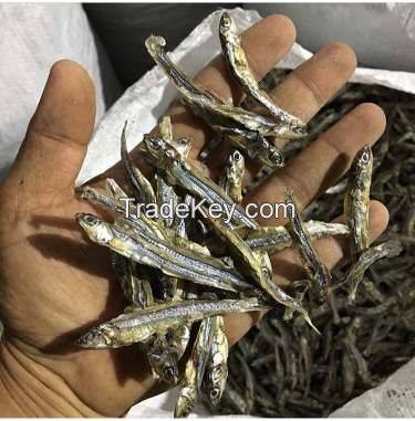 DRIED ANCHOVY FISH/ HIGH SPRATS// Ms. Julie +84767799825