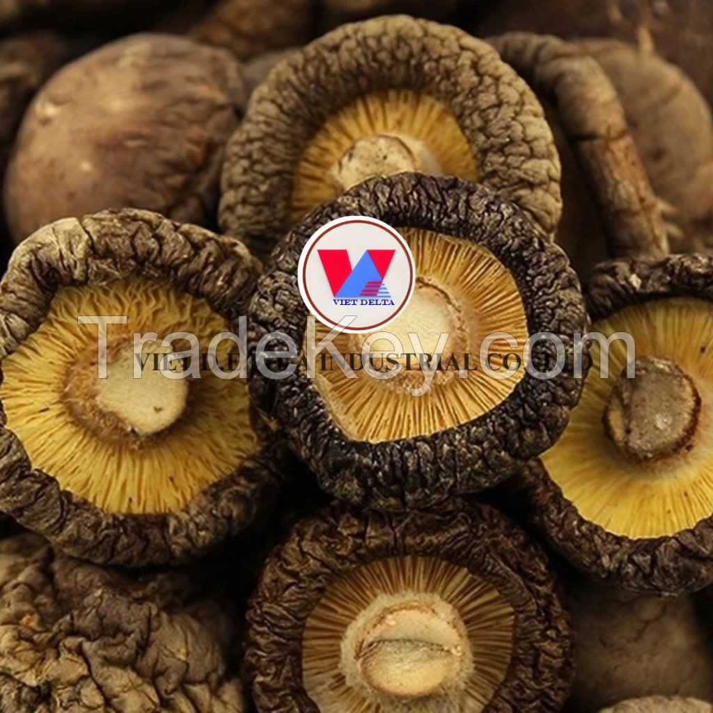 VIETNAM DRIED SHIITAKE MUSHROOM BEST QUALITY CHEAPEST FACTORY PRICE WHOLESALE / MS SERENE