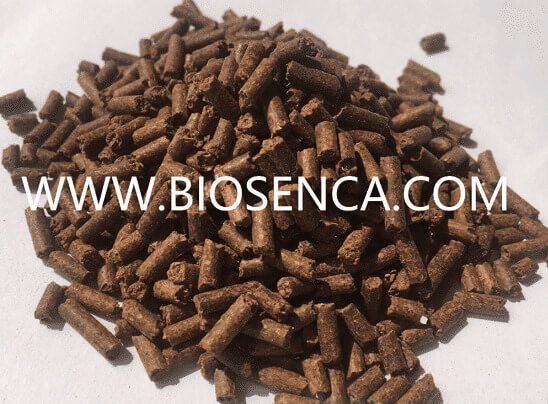 Tea seed pellet