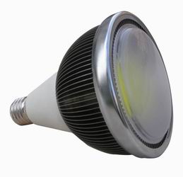 LED Finned PAR light