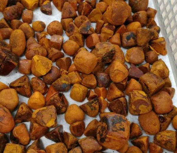 BUY OX GALLSTONES &amp; OX COW GALLSTONES ONLINE